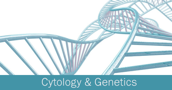 Cytology and Genetics